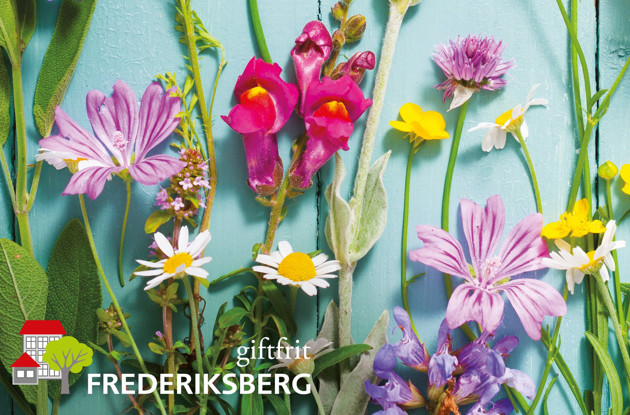 Giftfrit Frederiksberg